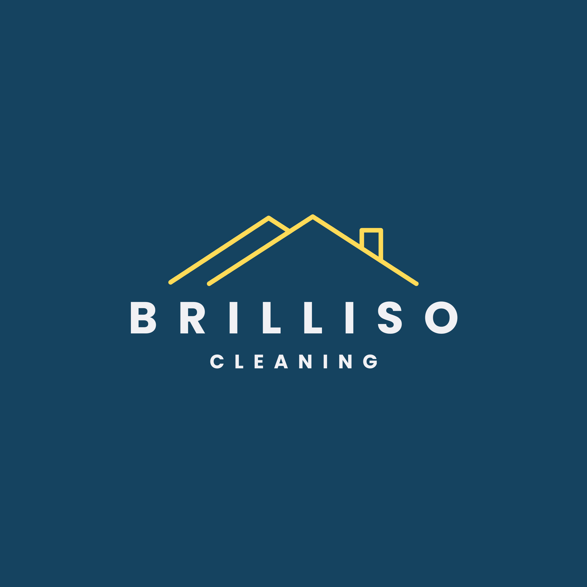 brilliso-flip-logo