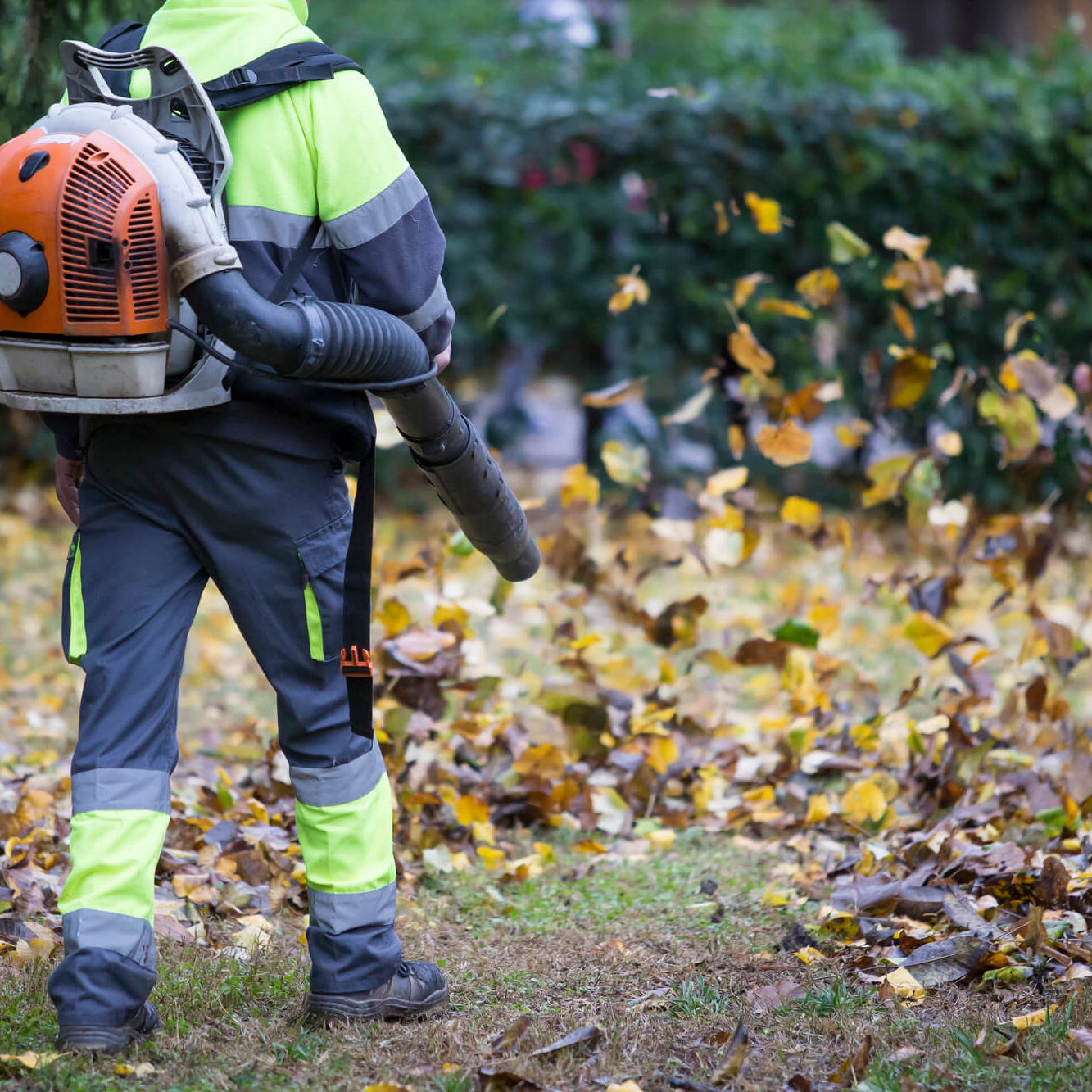 leaf-blowing leaf-blowing